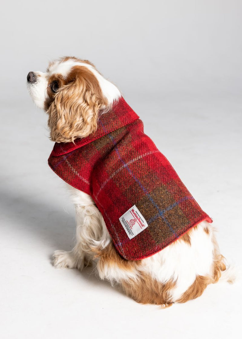 Harris Tweed Dog Coat - 8 Colours