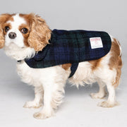 Harris Tweed Dog Coat - 8 Colours