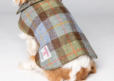 Harris Tweed Dog Coat - Green/Blue Macleod Check