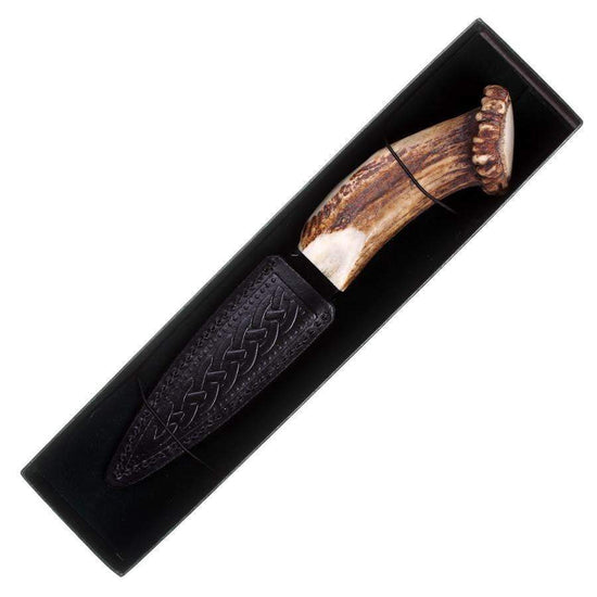 Damascus Steel Full Crown Horn Sgian Dubh